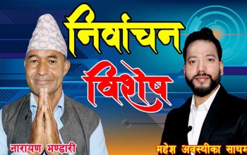 पाँच बर्षमा पाटनको मूहार फेर्छु : उम्मेदवार भण्डारी 